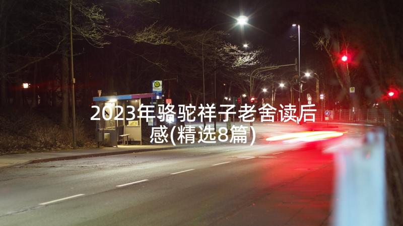 2023年骆驼祥子老舍读后感(精选8篇)