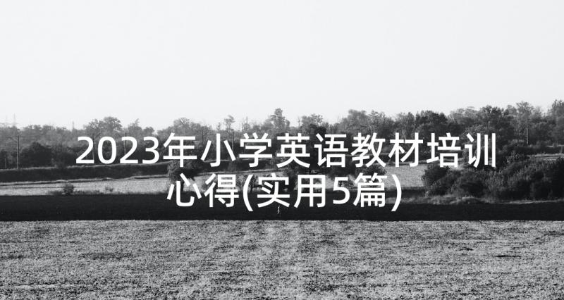 2023年小学英语教材培训心得(实用5篇)