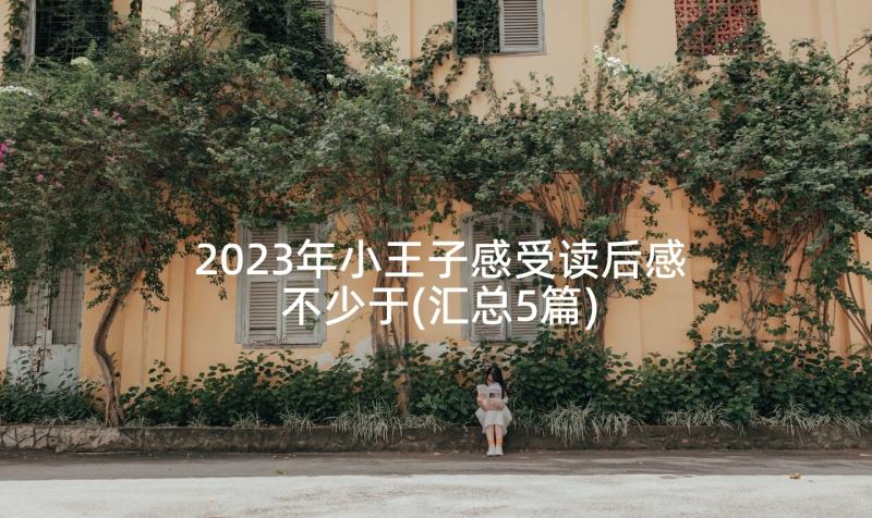 2023年小王子感受读后感不少于(汇总5篇)