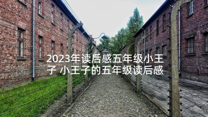 2023年读后感五年级小王子 小王子的五年级读后感(实用8篇)