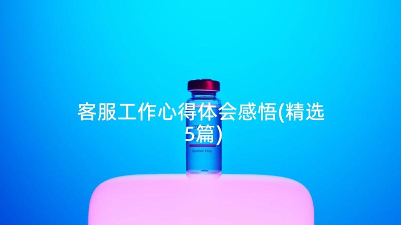 客服工作心得体会感悟(精选5篇)