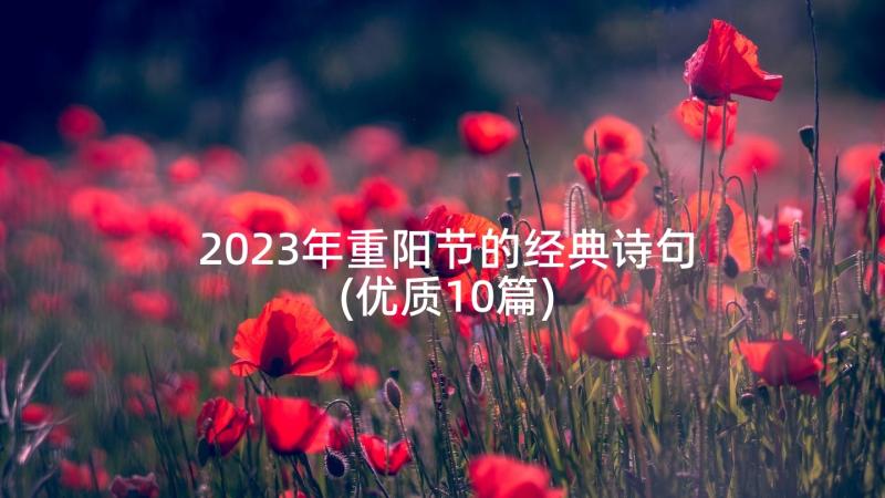 2023年重阳节的经典诗句(优质10篇)