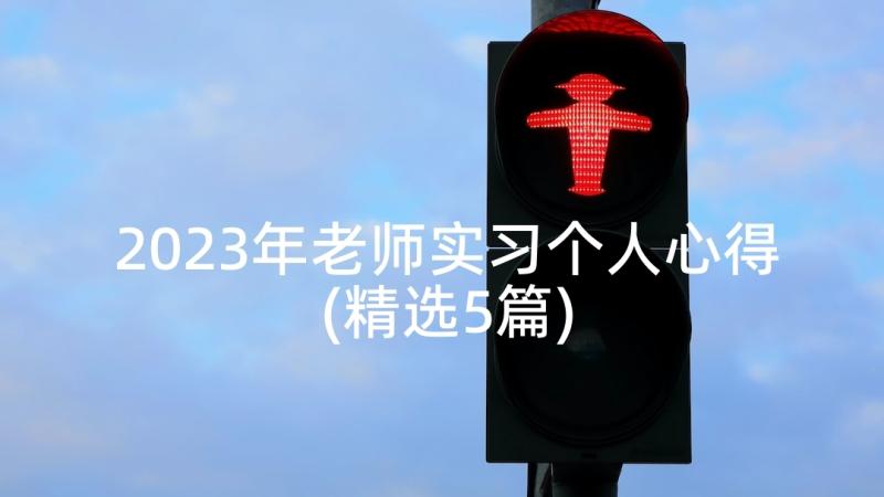 2023年老师实习个人心得(精选5篇)