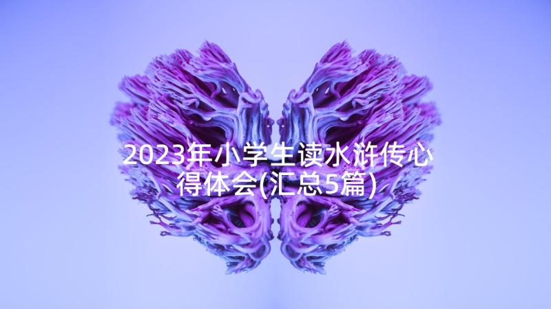 2023年小学生读水浒传心得体会(汇总5篇)