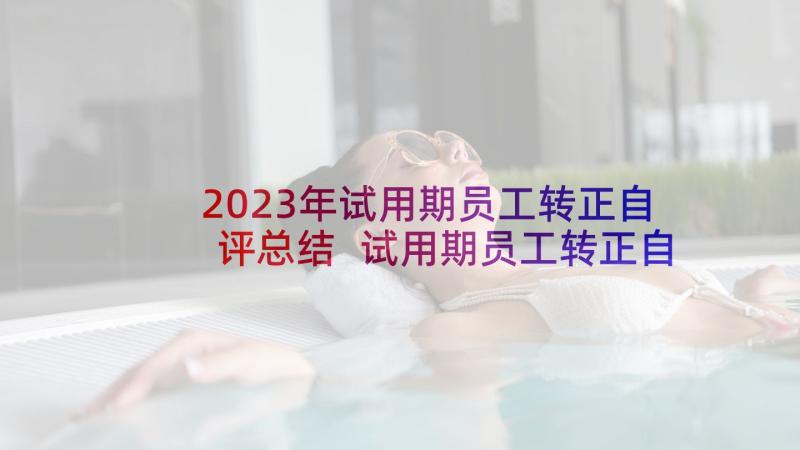 2023年试用期员工转正自评总结 试用期员工转正自我鉴定(通用9篇)