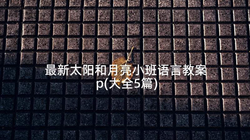 最新太阳和月亮小班语言教案p(大全5篇)