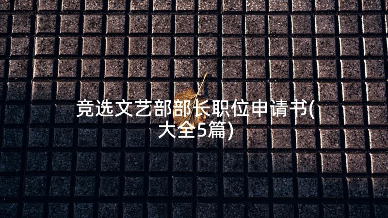 竞选文艺部部长职位申请书(大全5篇)