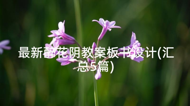 最新醉花阴教案板书设计(汇总5篇)