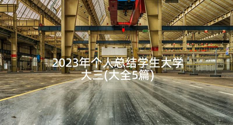 2023年个人总结学生大学大三(大全5篇)