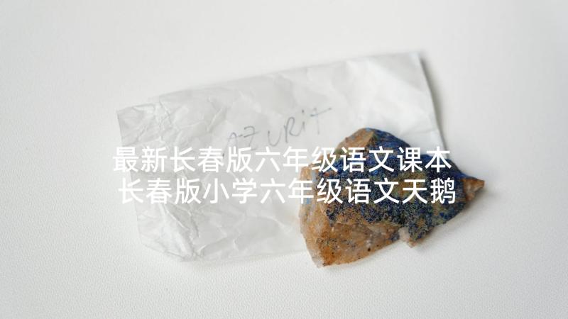 最新长春版六年级语文课本 长春版小学六年级语文天鹅教案(优质5篇)