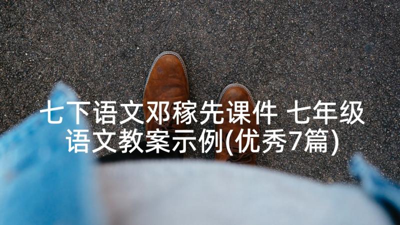 七下语文邓稼先课件 七年级语文教案示例(优秀7篇)