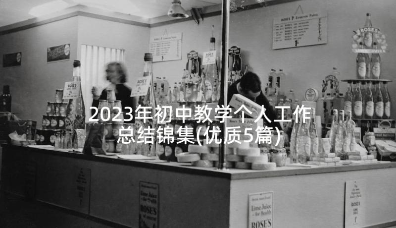 2023年初中教学个人工作总结锦集(优质5篇)