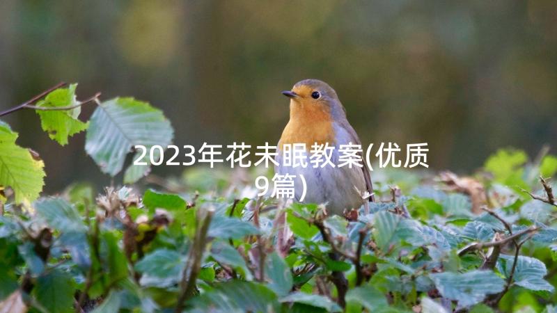 2023年花未眠教案(优质9篇)