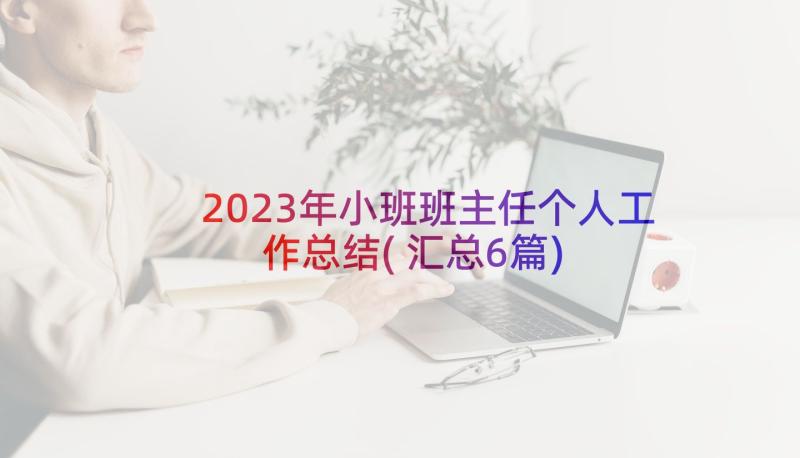 2023年小班班主任个人工作总结(汇总6篇)