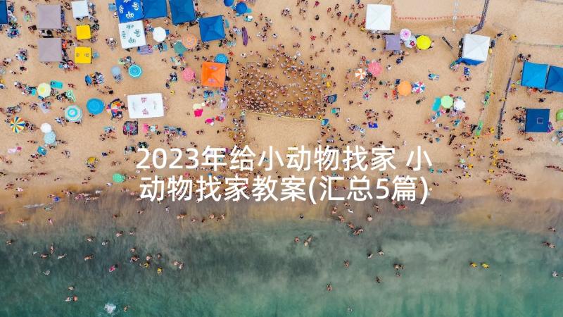 2023年给小动物找家 小动物找家教案(汇总5篇)