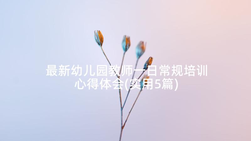 最新幼儿园教师一日常规培训心得体会(实用5篇)