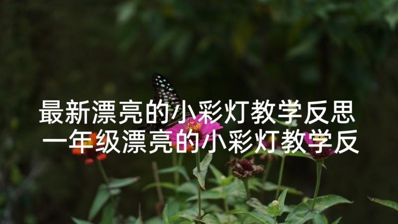 最新漂亮的小彩灯教学反思 一年级漂亮的小彩灯教学反思(优质5篇)