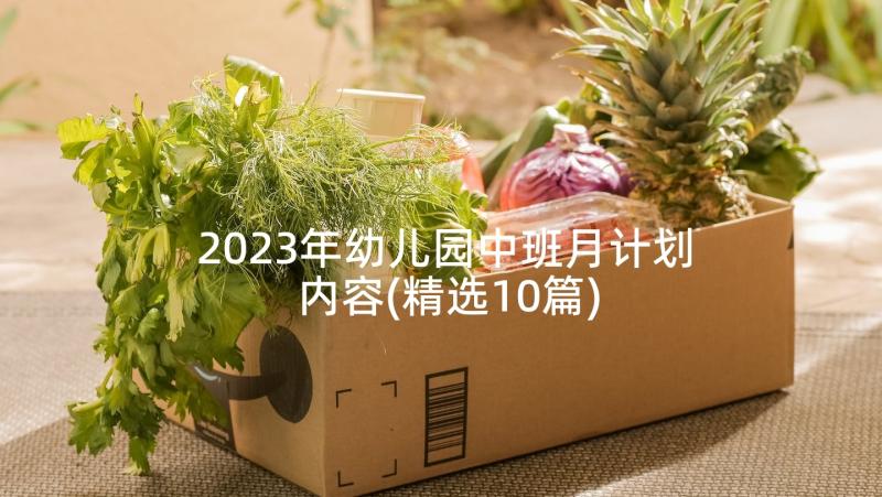 2023年幼儿园中班月计划内容(精选10篇)