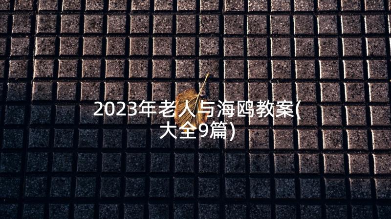 2023年老人与海鸥教案(大全9篇)