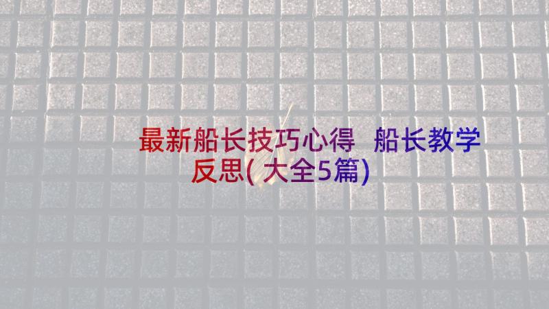 最新船长技巧心得 船长教学反思(大全5篇)