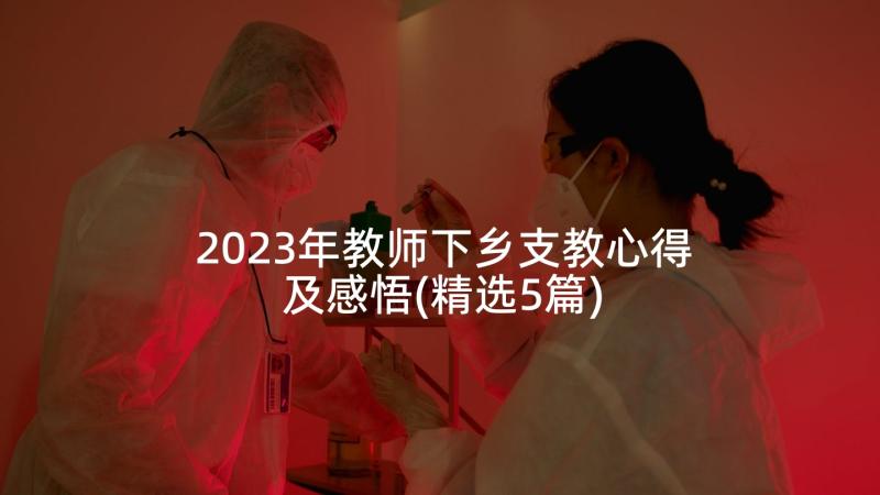 2023年教师下乡支教心得及感悟(精选5篇)