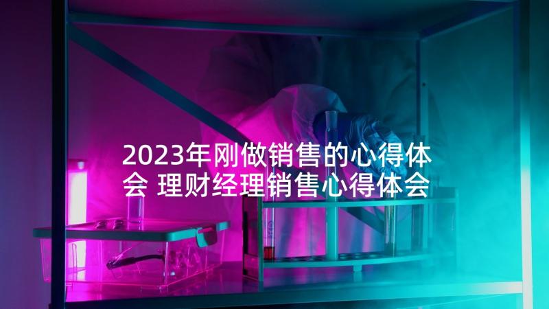 2023年刚做销售的心得体会 理财经理销售心得体会(精选5篇)