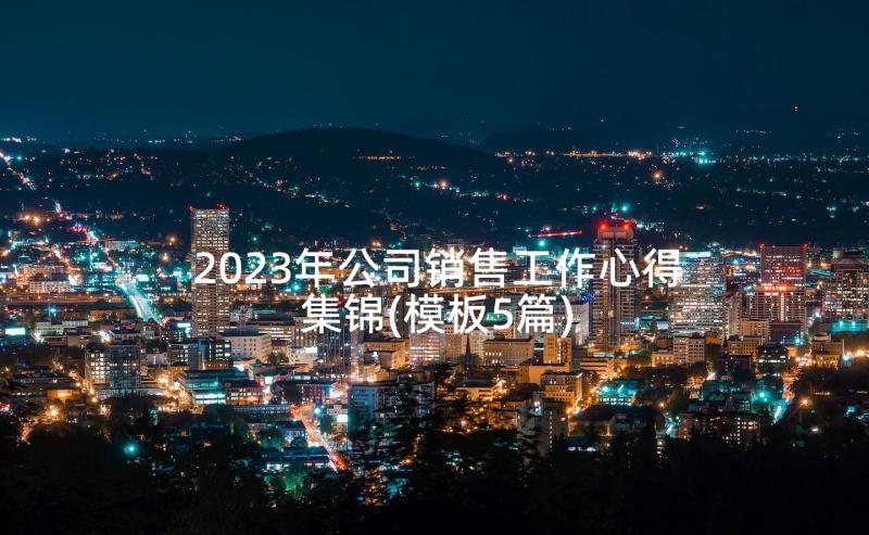 2023年公司销售工作心得集锦(模板5篇)