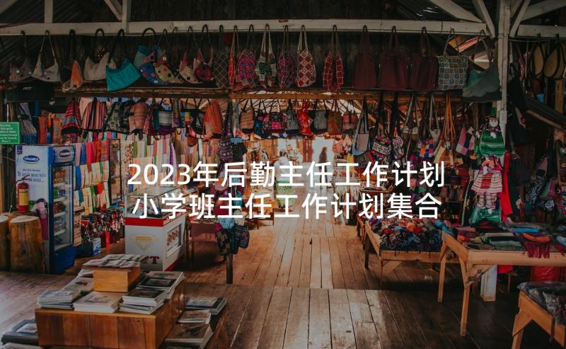 2023年后勤主任工作计划 小学班主任工作计划集合(优秀9篇)