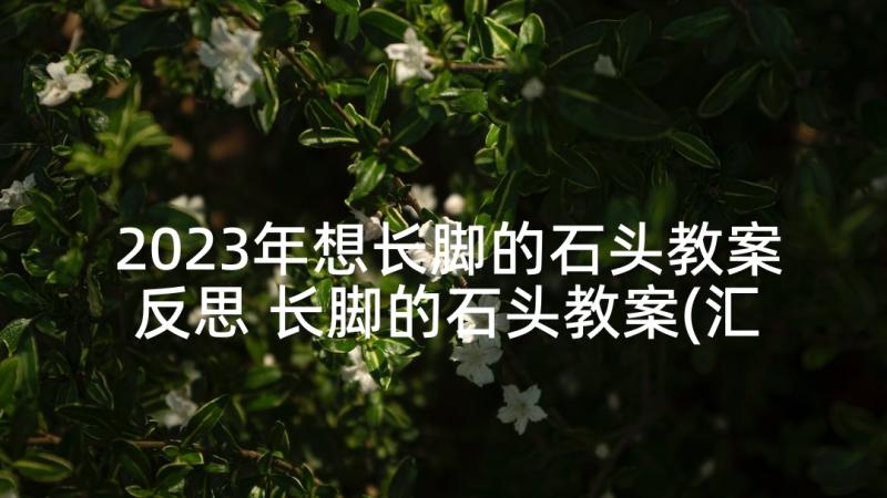 2023年想长脚的石头教案反思 长脚的石头教案(汇总5篇)