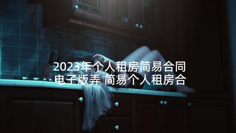 2023年个人租房简易合同电子版弄 简易个人租房合同(实用7篇)