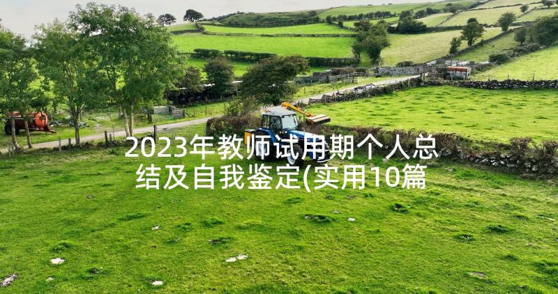 2023年教师试用期个人总结及自我鉴定(实用10篇)