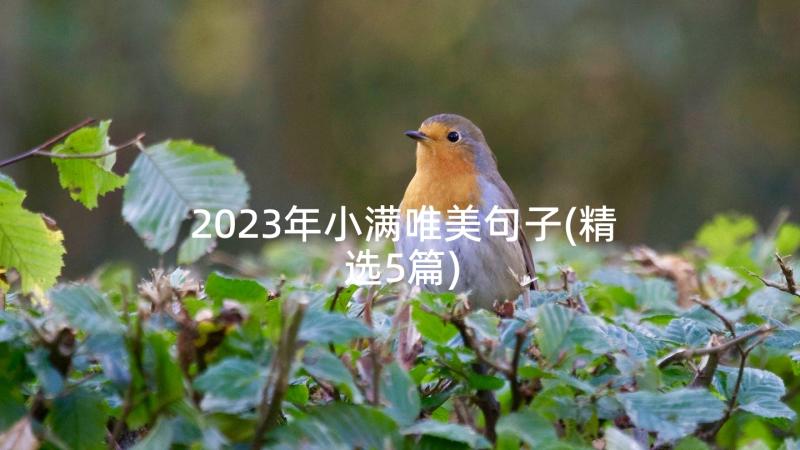 2023年小满唯美句子(精选5篇)