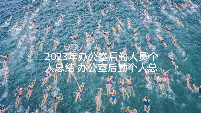 2023年办公室后勤人员个人总结 办公室后勤个人总结(精选5篇)