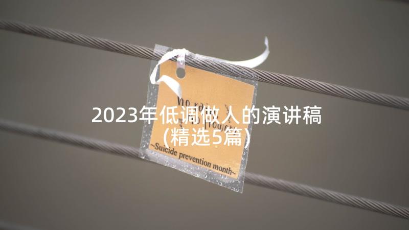 2023年低调做人的演讲稿(精选5篇)