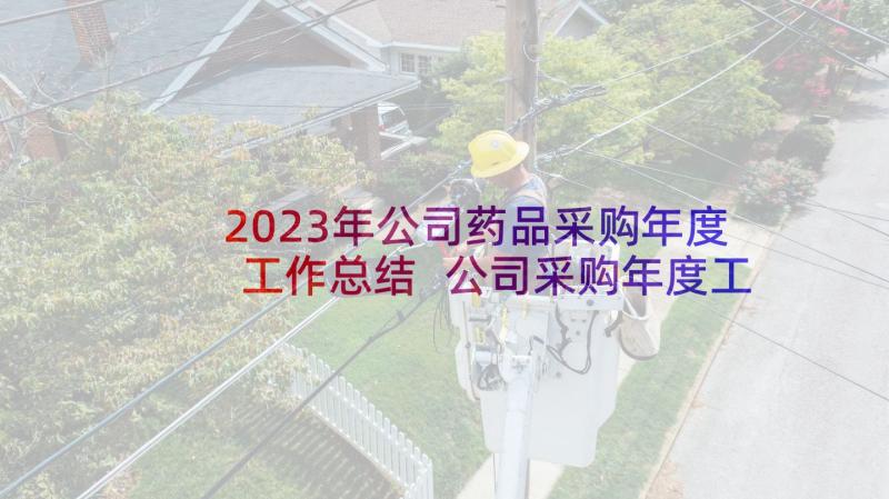 2023年公司药品采购年度工作总结 公司采购年度工作总结(通用5篇)