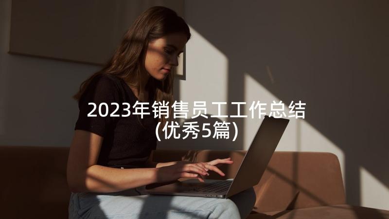 2023年销售员工工作总结(优秀5篇)