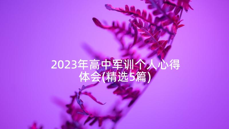 2023年高中军训个人心得体会(精选5篇)