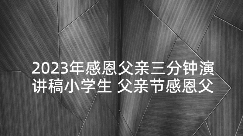 2023年感恩父亲三分钟演讲稿小学生 父亲节感恩父亲演讲稿三分钟(通用8篇)