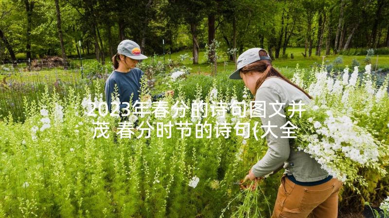 2023年春分的诗句图文并茂 春分时节的诗句(大全6篇)