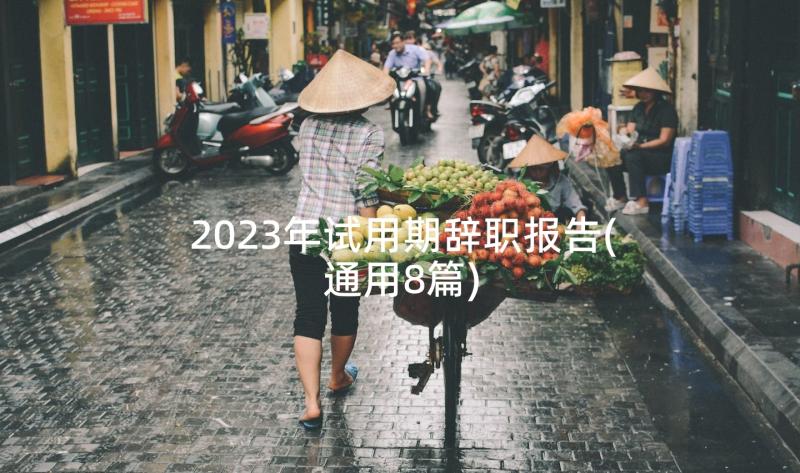 2023年试用期辞职报告(通用8篇)