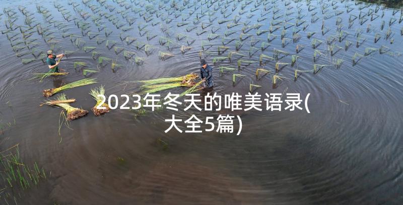 2023年冬天的唯美语录(大全5篇)