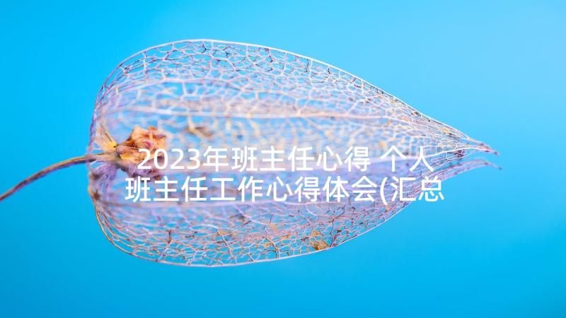 2023年班主任心得 个人班主任工作心得体会(汇总9篇)