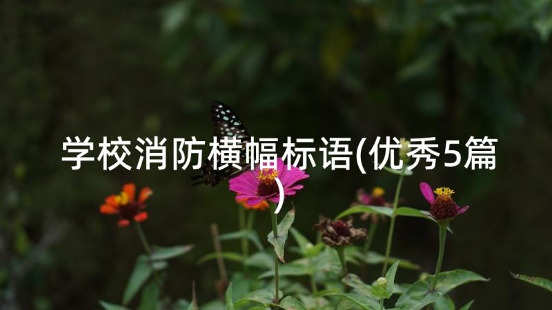 学校消防横幅标语(优秀5篇)