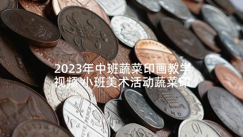 2023年中班蔬菜印画教学视频 小班美术活动蔬菜印画教案(大全6篇)