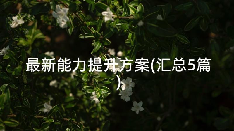 最新能力提升方案(汇总5篇)