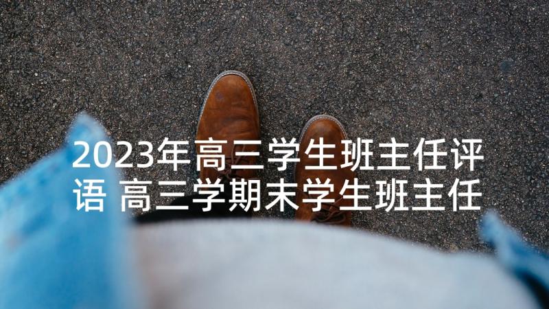 2023年高三学生班主任评语 高三学期末学生班主任评语(通用8篇)