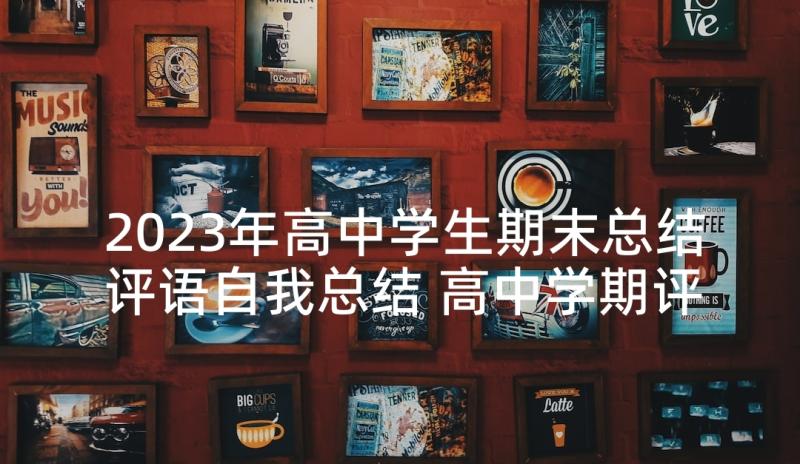 2023年高中学生期末总结评语自我总结 高中学期评语总结(精选5篇)