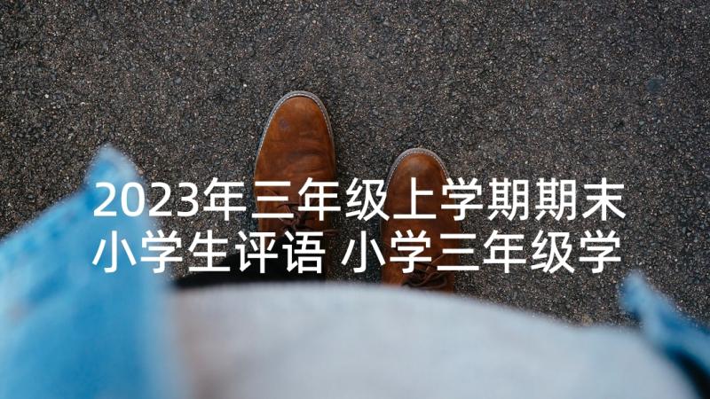 2023年三年级上学期期末小学生评语 小学三年级学生期末评语(实用7篇)