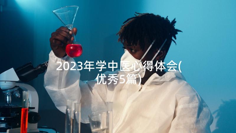 2023年学中医心得体会(优秀5篇)