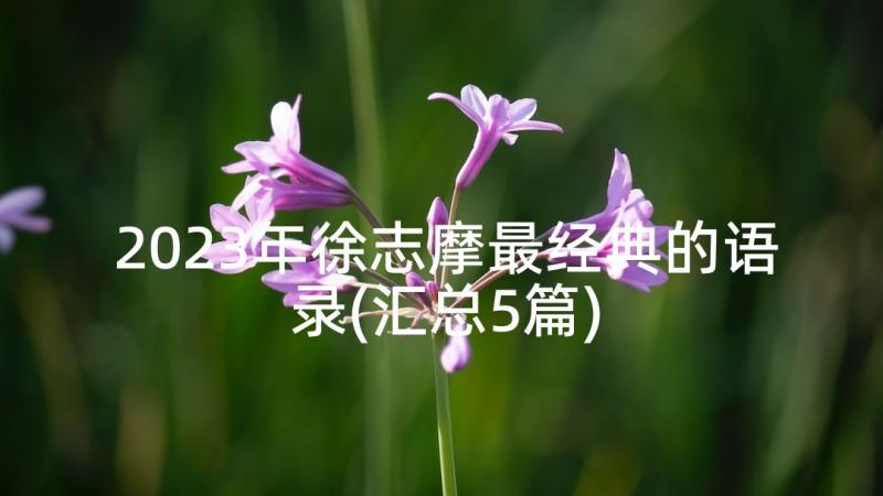 2023年徐志摩最经典的语录(汇总5篇)